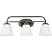 EGLO 202911A Mayview 3 Bath Vanity Light