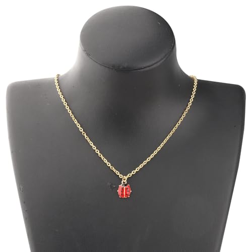 Lywjyb Birdgot Ladybug Necklace Cute Ladybug Gift Ladybird Pendant Good Luck Ladybug Gift for Women4