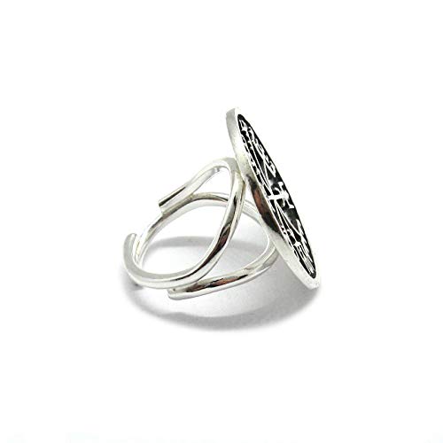 Bague en argent massif Vegvisir 925 Empress | Le cadeau ajustable idéal - 3