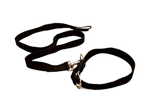 Furry Angels Nylon Collar and Leash Set (Size - Medium) for Medium Dogs - Like Labrador, Golden Retriever etc (Color - Black) Width -1 inch (B08P9PCH6Y) Amazon Price History, Amazon Price Tracker