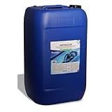 San Marco Antialghe liquido concentrato non schiumogeno, antialga per piscine liquido, alg...