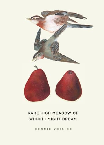 Rare High Meadow of Which I Might Dream (Phoenix Poets)