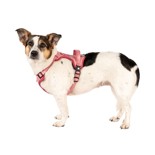 Max & Molly Sport Hundegeschirr Sehr Grosse Hunde mit Gotcha! Smart ID Sicherheitsanhänger, Matrix 2.0 Rose/XL, Geschirr Hund Gepolstert & Reflektierend - Komfort für deinen treuen Begleiter