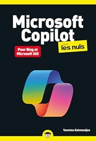 Copilot pour les Nuls par Salmandjee-Lecomte