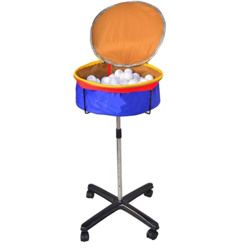 HJJLX^[t싅ԁAړ\AKpA 250̃{[ ߉\ [oXPbg yʂň芴܂ (ی^ + W) [sAi]