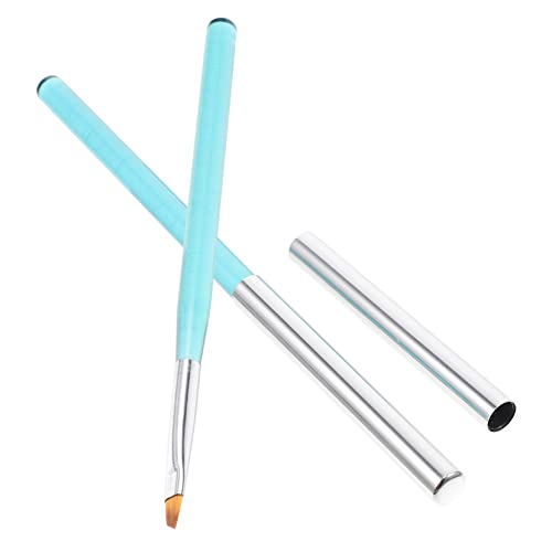 CLISPEED 2Stücke Nagelkunst Pinsel Set