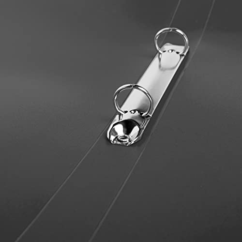 Idena 10429 - Ringbuch im Format DIN A4, 2-Ring-Mechanik mit 16 mm Durchmesser, 20 mm Rückenbreite, grau, 1 Stück