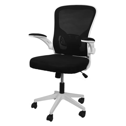 COZYBRITE Ergonomic Office Desk Chair with Lumbar Support Cover