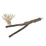 Support pour perroquet - fabriqué à de matériaux de première qualité et respectueux de qui soutiennent votre utilisation, support de perchoir pour perroquet