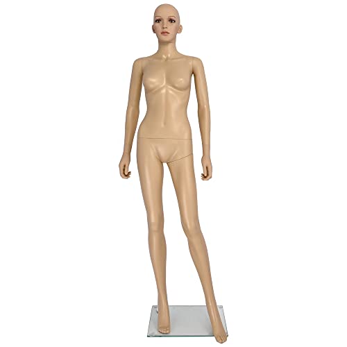 TWS Mannequin de vitrine Femme démontable | Incassable | Base en Verre avec Fixation Mollet pour Les Chaussures