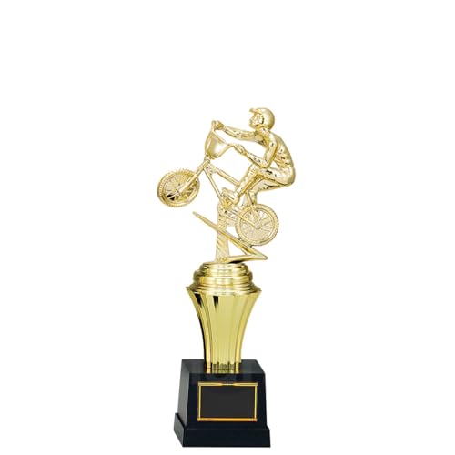 GOLD SHACHI [[U[] \gtB[ T1053-DTCY(24cm d70g)(A-0) y(v)BMXz