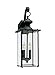 Sea Gull Lighting 8468EN-12 Jamestowne Outdoor Wall Lantern Outside Fixture in Etched Glass, Extra Large, Black Finish