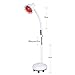 AceFox Stand Infrared Heat Lamp with Water Injection Base, Adjustable Heat and Flexible Arm, Used for Physiotherapy, Body Therapy, Pain Relief (275W, White)