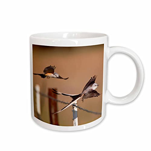 3drose Danita Delimont ? [EDitto ?  ? scissor-tailed FlycatchersyAFlying byLhStFXB ? }OJbv 11 oz zCg mug_191279_1