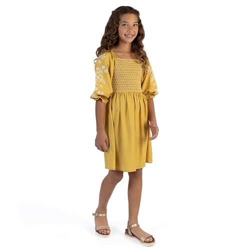 Speechless Girls' 3/4 Sleeve Embroidered Dress
