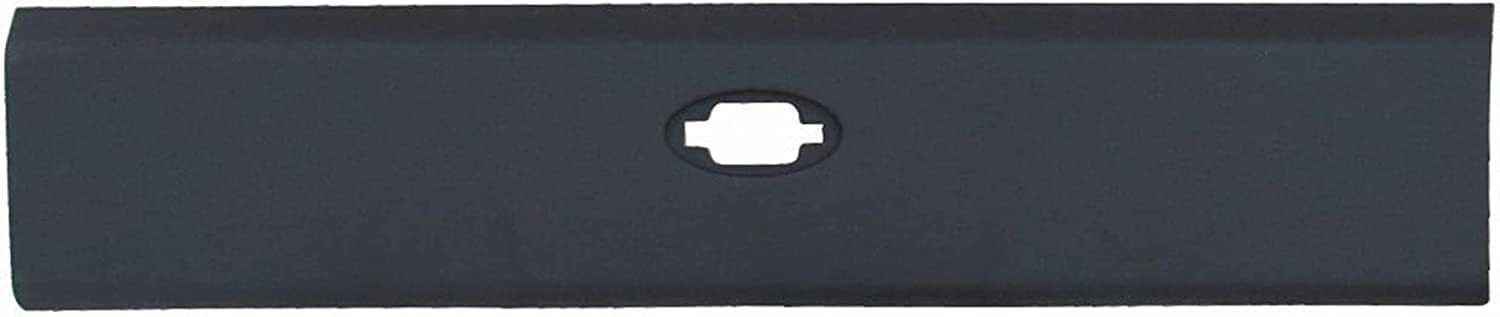Varilla/Moldura de panel derecho posterior para chasis largo Renault Master 3, Opel Movano B y Nissan NV400