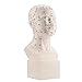 Head Acupuncture Model, PVC HD Standard Acupoint Human Acupuncture Point Head Model Acupuncture Teaching Practice Tool with Accurate Acupuncture Points