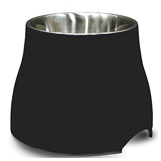 Dogit Elevated Dog Bowl, Stainless Steel Dog Food and Water Bowl for Small Dogs, Black, 73744