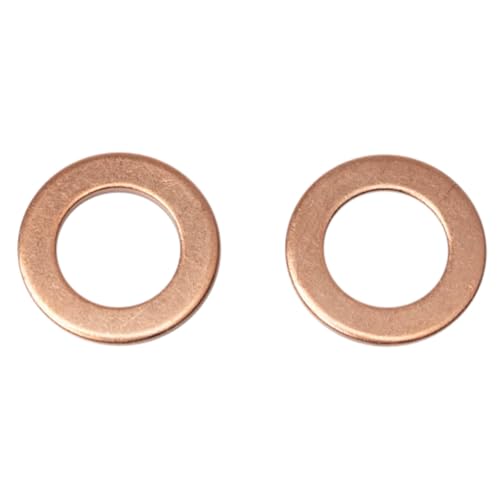 Image of TRQ Front Performance Brake Hose Set Compatible with 2005-2010 Dodge Dakota 2006-2009 Mitsubishi Raider 2011 Ram