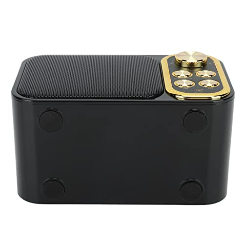 Máquina de karaokê, Máquina de Cantar Ao Ar Livre para Festa Máquina de karaokê Portátil Com 2 Micro