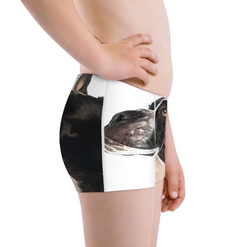 Boys' Cotton Boxer Brief Soft Underwear-Black And White Boston Terrier2