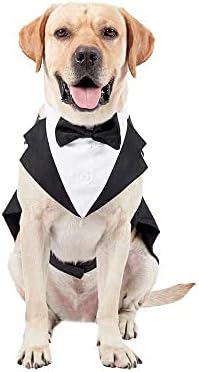 Dog Formal Tuxedo Suit, Dogs Tuxedo Costume Pet Wedding Party Outfit Suit, Dog Apparel Collar Bowtie Shirt for Large Medium Dogs Prince Golden Retriever Samo Bulldogs Tuxedo Outfit (Small)