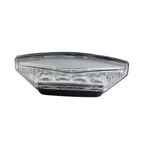 Fanale Posteriore Moto Per Il 2020-2024 Per BMW F900XR F900R A LED Integrato F900 XR R 2021 2022 2023 moto Fanale Posteriore(Clear)