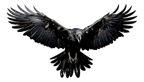 Dark Eagle Realistic Temporary Tattoos Unique Tattoo Hands Party Favors
