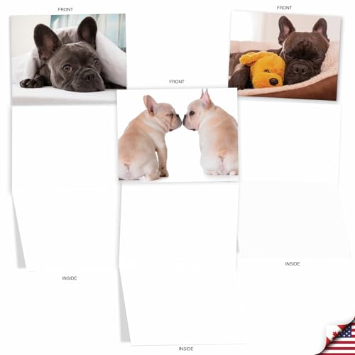 Cartes vierges chien bouledogue pour ne plus jamais manquer de carte de vœux