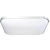 Triprel Inc Elegent 25" Dimmable Flush Mount LED Ceiling Light Square 48W w/ Remote