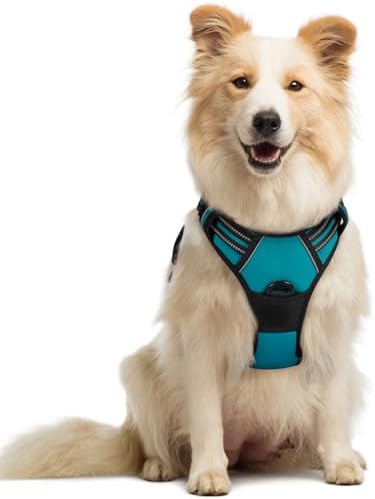rabbitgoo Hundegeschirr Mittelgroße Hunde Anti Zug mit Griff, M, Petroleum | No Pull & Individuell Anpassbar, Atmungsaktiv Gepolstert, 2 D-Ringe, Schnellverschlüsse, Reflektierend