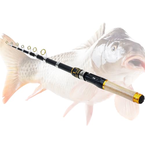 Canne à pêche télescopique extensible accessoire plein air lac