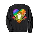Photo Gallery lgbt pride - gnomo nordico con bandiera arcobaleno a forma di cuore felpa Photo Gallery lgbt pride - gnomo nordico con bandiera arcobaleno a forma di cuore felpa