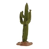 Décoration cactus miniature : cette adorable décoration cactus miniature apportera une touche de fraîcheur à votre intérieur. décoration cactus pour table basse