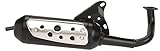  Auspuff Tecnigas Silent Pro für Pegasus GP 50, S 50 LX