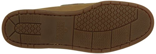 Sebago