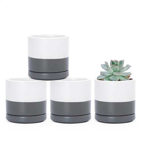 D'vine Dev 4-Pack Ceramic Pots with Saucers, White/Grey, 3.5 in, 94-X-A-6