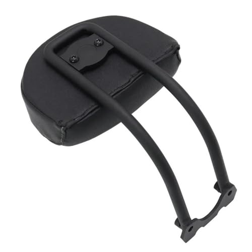 Dosseret Arrière Sportster S 2021 Kit Dossier Passager Moto Acier