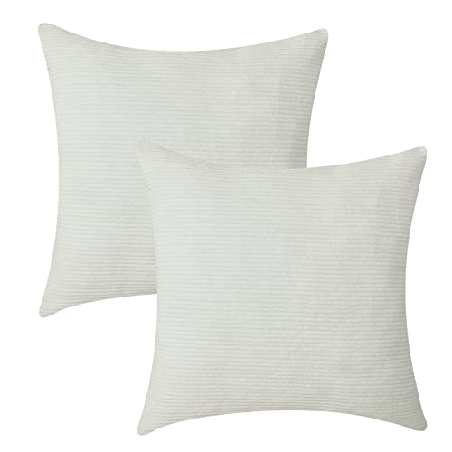 Spring Garden Home Decorative Pillows Cover Cushion Cases Pack Of 2, Farmhouse Terrace Indoor Outdoor Decorations, 20 By 20 Inch, Pure White #TOP10