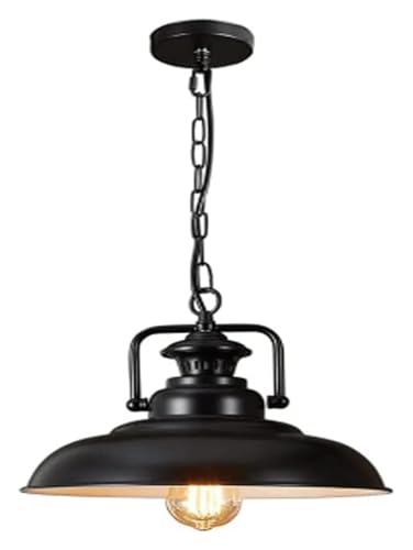 Lustres en fer forgé industriel QTHWB petite suspension une tête pour salon