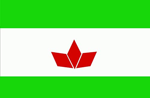 Drapeau Hongaresos Roumanie grand format UDMR Democratic Alliance pour mât et défilé - 2