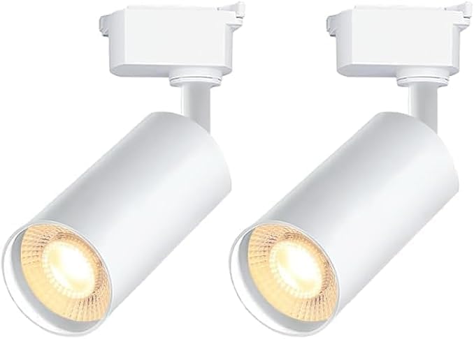 White LED Track Lighting Heads (No Track Rails), 2-Lights 20W