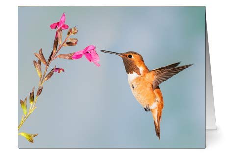 32 Different Flower Photo Blank Greeting Cards