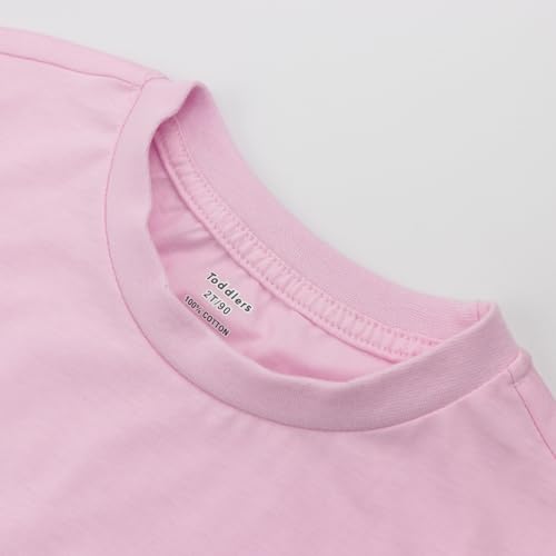 Girls Short Sleeve Shirt Toddler Crewneck Tops Tee Summer Outfits Clothes 3 Pack4