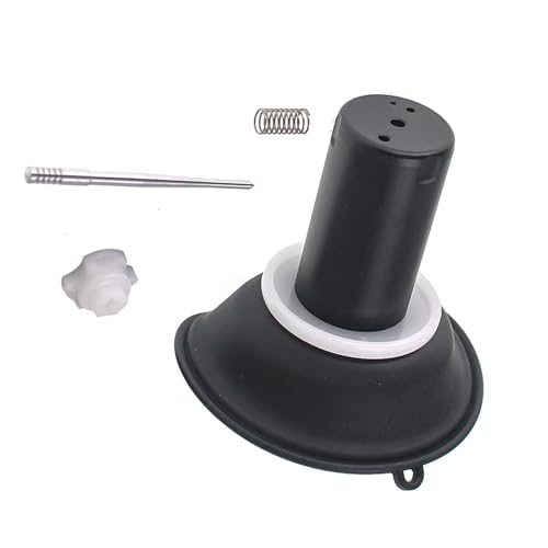 Piston de carburateur moto pour Rebel 250 CMX CA250 de 1985 à 2016