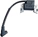 798534 799582 593872 593381 Armature-Magneto fit-for Briggs and Stratton 84005272 Engine Ignition Coils