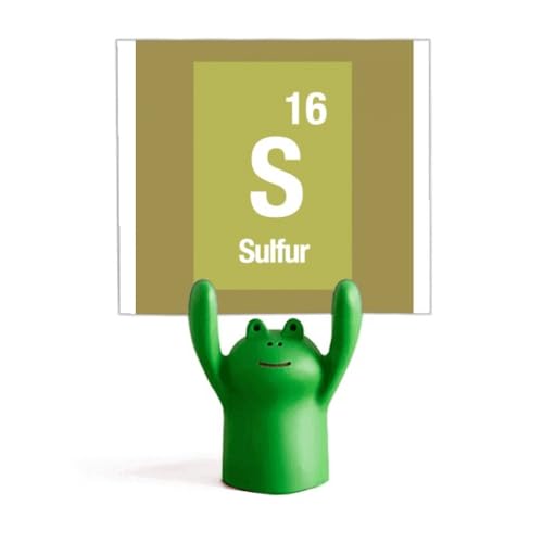 Memo holder science soufre grenouille cartoon, idée cadeau originale