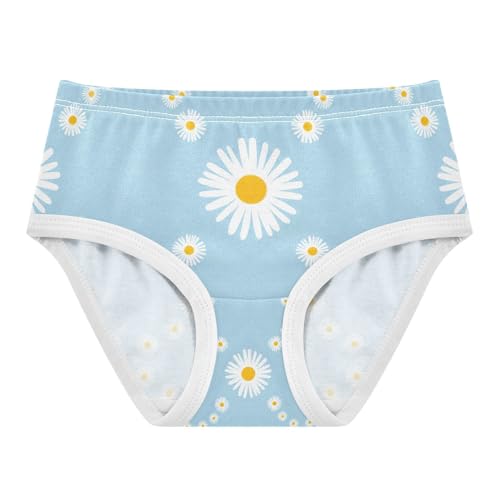 White Daisy Yellow Toddler Girls's Underwear 2T 202c1443