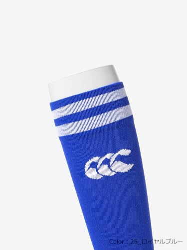 カンタベリー ストッキング ジュニア 2ライン JR.2LINE STOCKINGS 19_ブラック