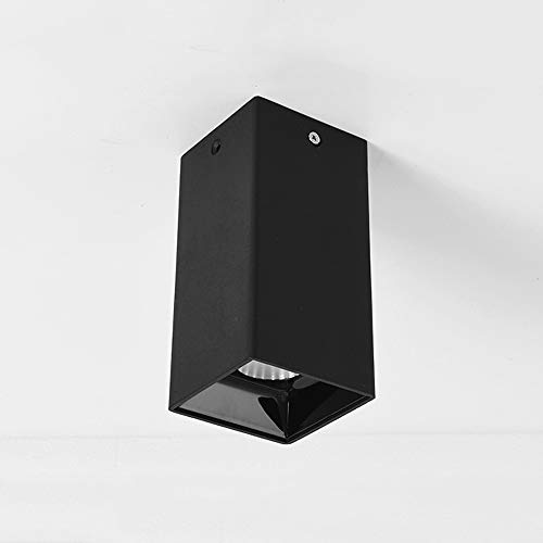 Lampe unique projecteur plafond et applique murale LED pour allée et porche